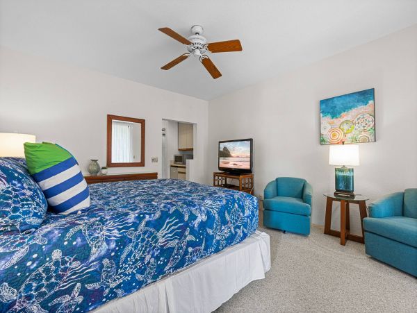 Great Value Wailea 2 Bedroom Condo Sleeps 4 Communal Pool