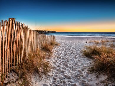 Panama City Beach Condo 916658