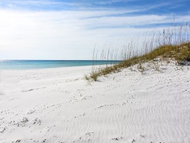 Beaches Of South Walton Condo 916693
