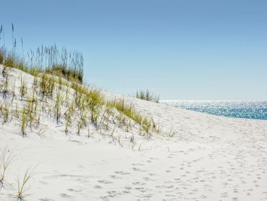 Beaches Of South Walton Condo 916695