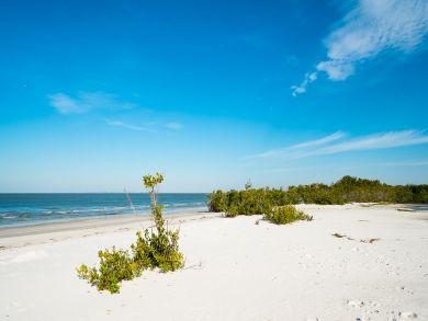 Fort Myers Condo 916736