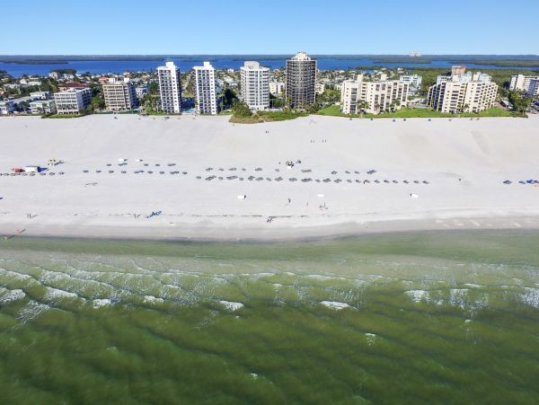 Stunning Condo on the Beach with Sweeping Views