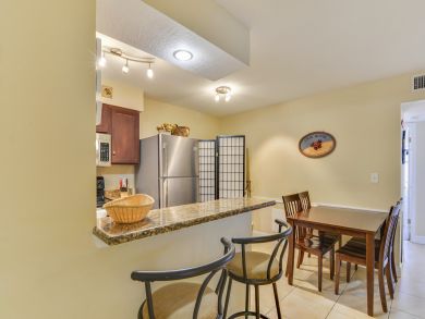 St. Petersburg Condo 916882