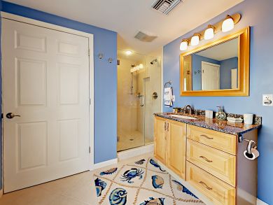 St. Petersburg Home 916891