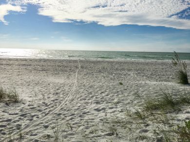 Indian Rocks Indian Shores Condo 916929