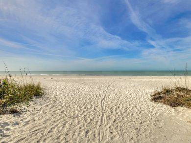 Indian Rocks Indian Shores Condo 916935