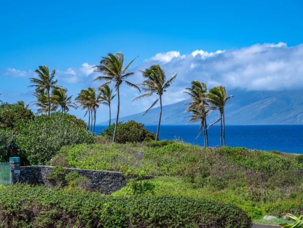 Luxury Ocean Views Vacation Condo in Kapalua Sleeps 6 Guests