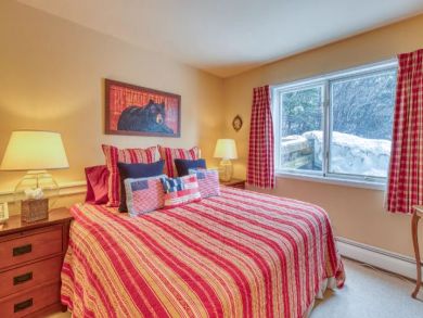 Snowmass Luxury Vacation Rental Sleeps Ten Guests