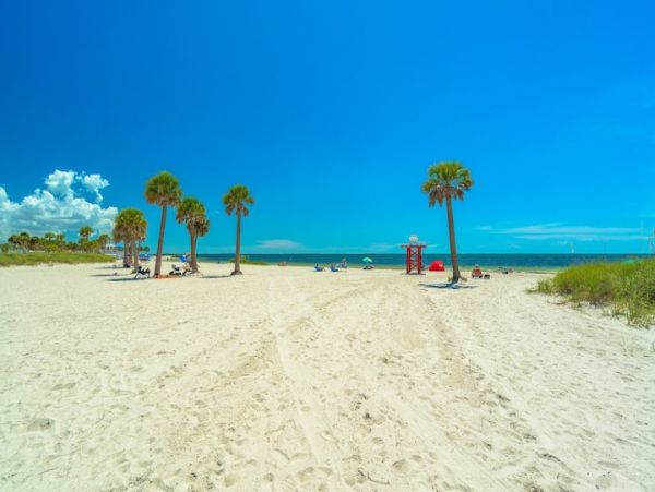 Tarpon Springs 8 Bedrooms in 2 Duplexes & 2 Private Pools