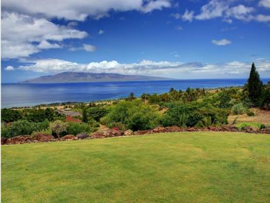 Lahaina Vacation Home Sleeps Ten Guests. Out Door Bar/Oasis