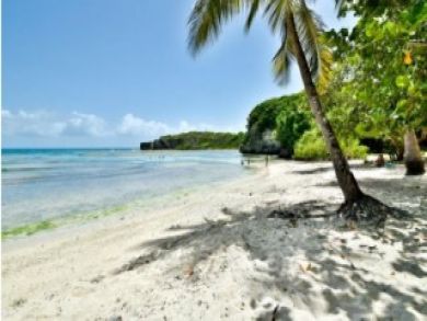 Le Gosier Vacation Home Sleeps Eleven Guests.
