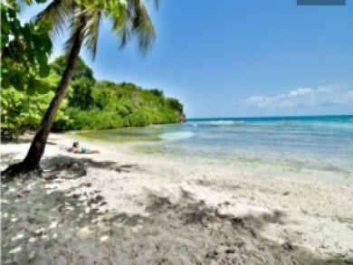 Le Gosier Vacation Home Sleeps Eleven Guests.