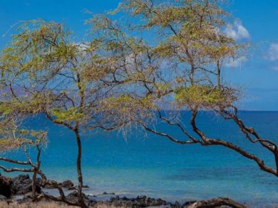 Kihei Two Bedroom Rental Condo, Walk to Beach