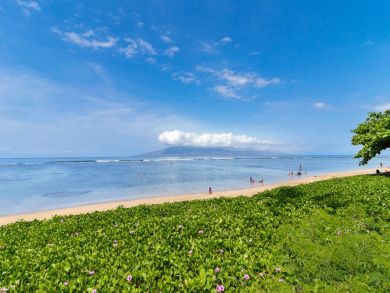 Lahaina Oceanfront Vacation Condo Lahaina Oceanfront Vacation Condo
