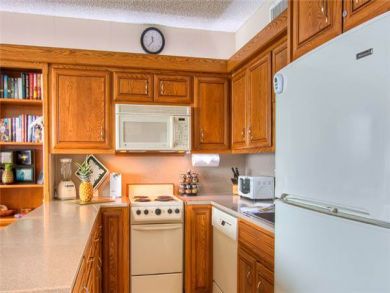 Lahaina Vacation Condo Sleeps Two Guests.