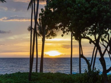 Kohala Coast Luxury Ocean Front Home, 5 Bedrooms
