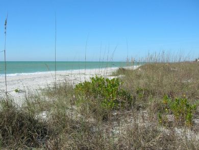 Boca Grande Home 917941