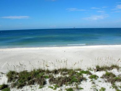 Boca Grande Home 917943