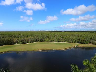 Fort Myers Condo 918144