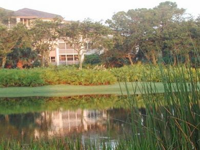 Bonita Springs Condo 918307