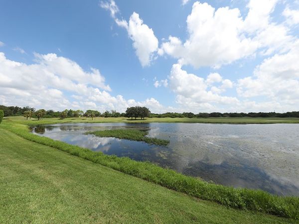 Sarasota Condo 918410