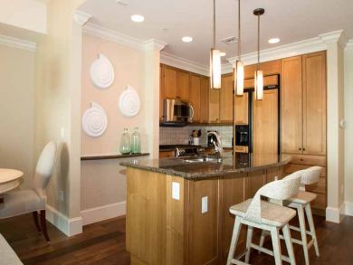 Naples Condo 918462
