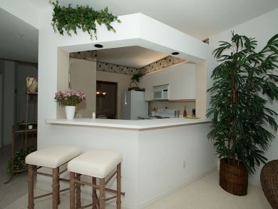 Naples Condo 918508