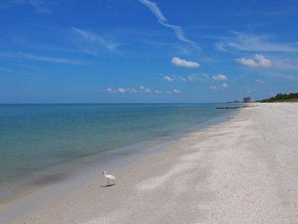 Two Bedroom Vacation Condo in Naples Sleeps Six Guests