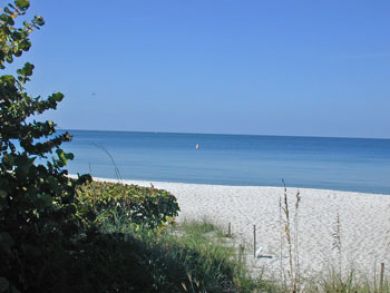 Naples Condo 918524