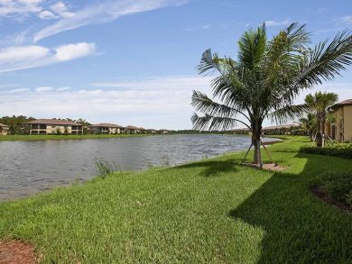 Naples Condo 918600