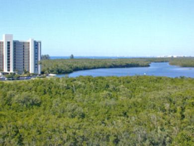 Naples Condo 918605