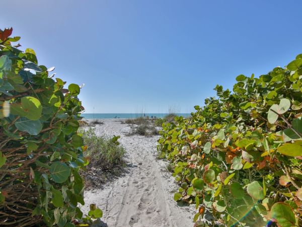 Beachfront Anna Maria Island Rental - Holmes Beach Vacation Condo