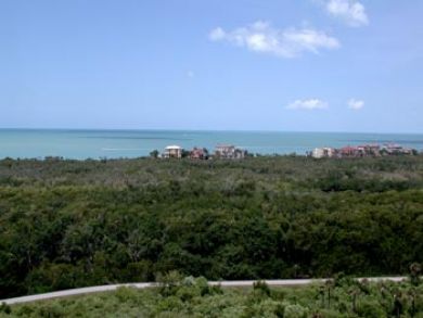 Naples Condo 918740