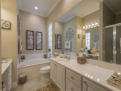 Bonita Springs Home 918839 Bonita Springs Home 918839