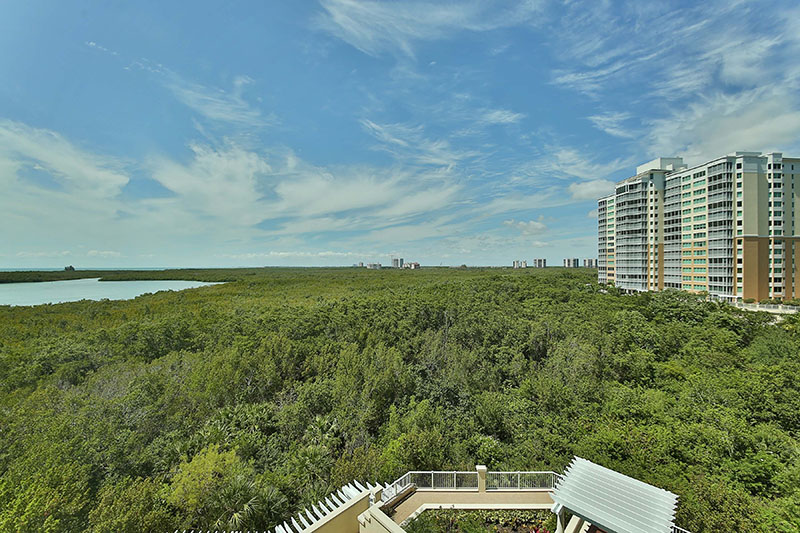 Naples Condo 918851