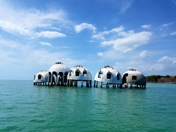 Private Caged Pool Marco Island Vacation Home Three Bedroom