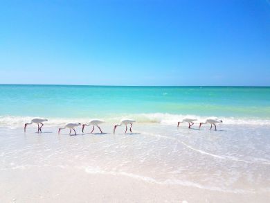 Marco Island Vacation Home Sleeps 8 Guests Marco Island Vacation Home Sleeps 8 Guests