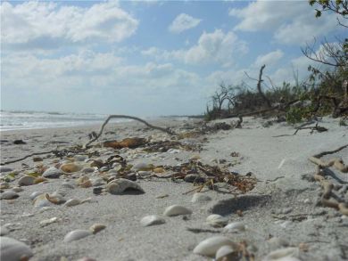 Sanibel Condo 918964