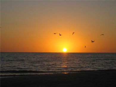Sanibel Condo 918964