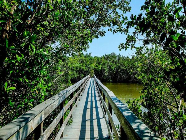 Sanibel Vacation Condo Two Bedroom Sleeps Six Guests