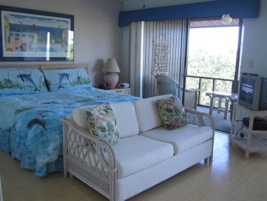 Sanibel Condo 918975