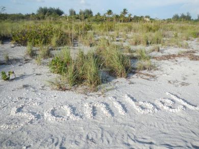 Sanibel Condo 918989