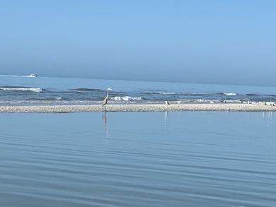 Sanibel Condo 919004