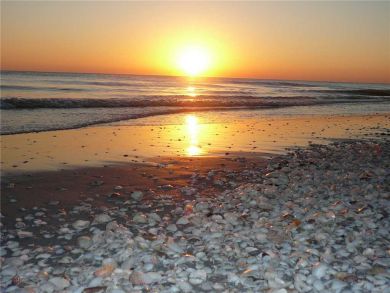 Sanibel Condo 919011