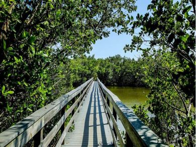Sanibel Vacation Rental Condo Two Bedrooms