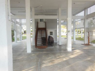 Bonita Springs Vacation Home Sleeps Six Guests.