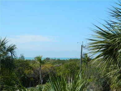 Sanibel Condo 919097