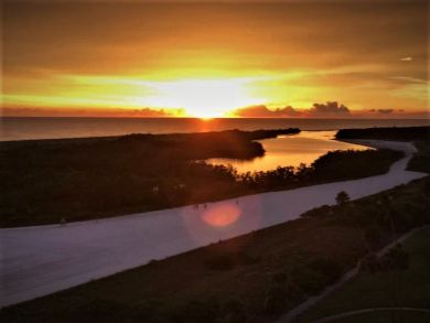 Marco Island Condo 919098