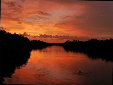 Sanibel Condo 919106