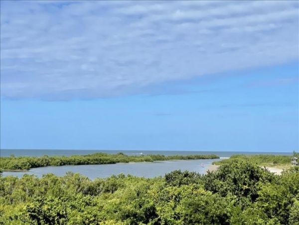 Marco Island Condo 919107